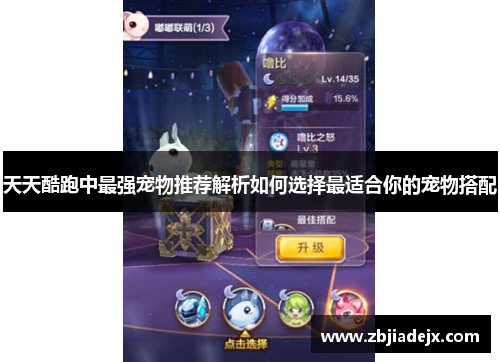 天天酷跑中最强宠物推荐解析如何选择最适合你的宠物搭配 天天酷跑中最强宠物推荐解析如何选择最适合你的宠物搭配